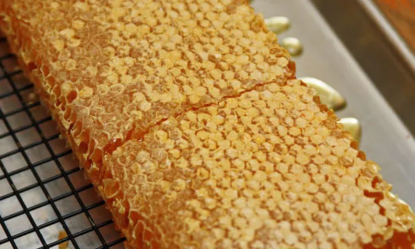 Close-up of a textured baked good on a cooling rack